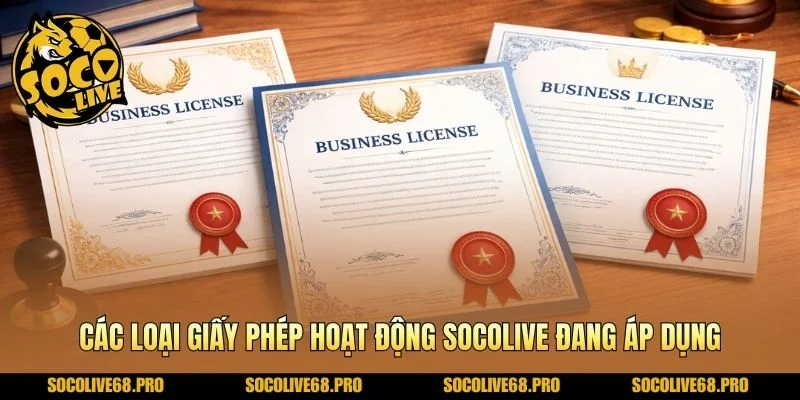 Các loại giấy phép hoạt động Socolive đang áp dụng