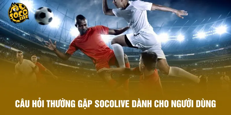 Câu hỏi thường gặp Socolive dành cho người dùng