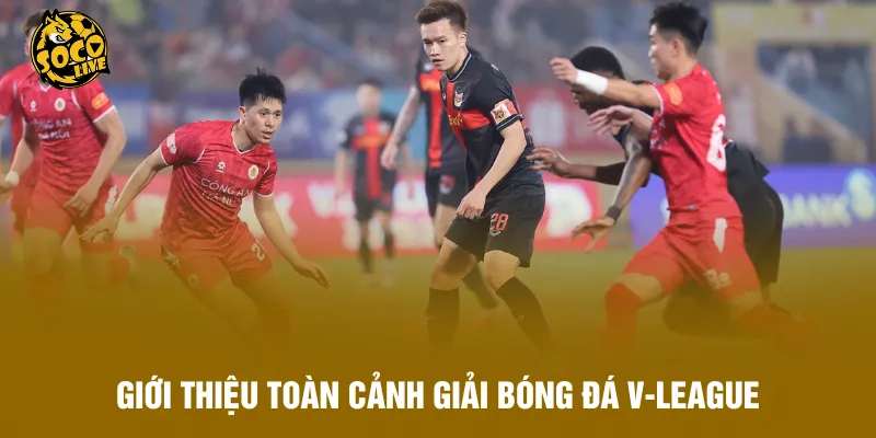 Giới thiệu toàn cảnh giải bóng đá V-League