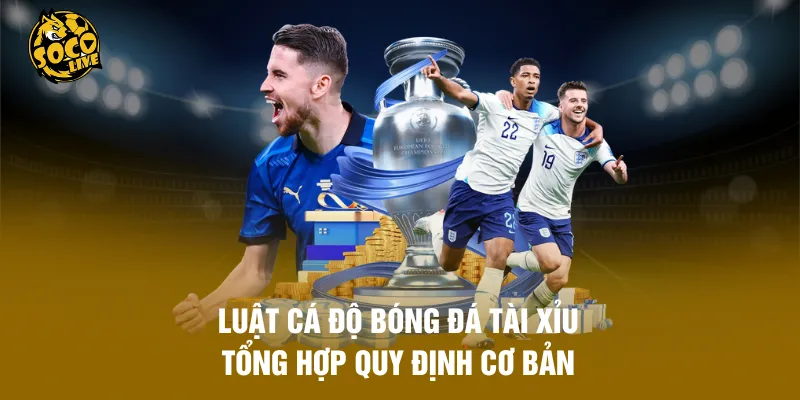 Luật Cá Độ Bóng Đá Tài Xỉu -  Tổng Hợp Quy Định Cơ Bản