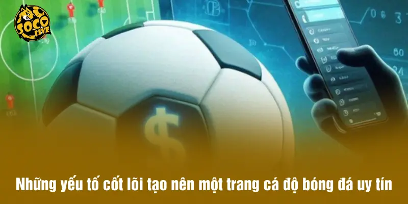 Những yếu tố cốt lõi tạo nên một trang cá độ bóng đá uy tín
