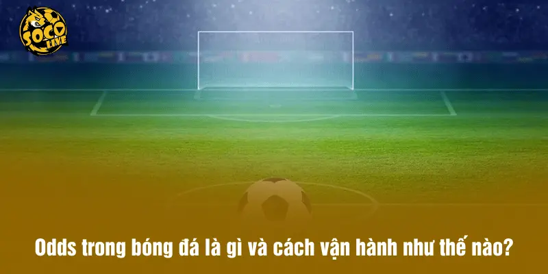 Odds trong bóng đá là gì và cách vận hành như thế nào?
