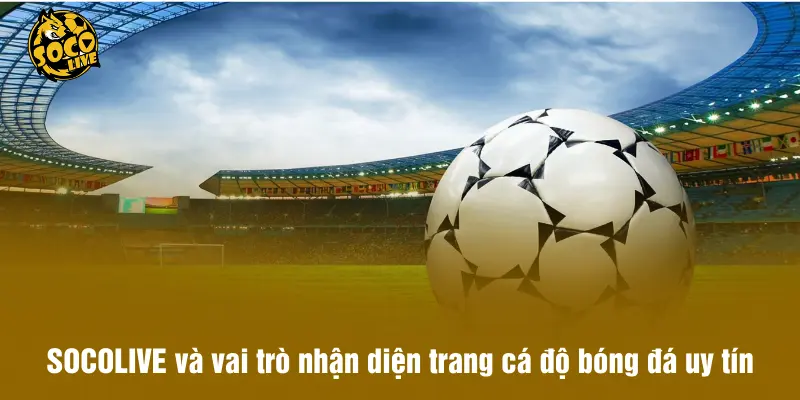 SOCOLIVE và vai trò nhận diện trang cá độ bóng đá uy tín